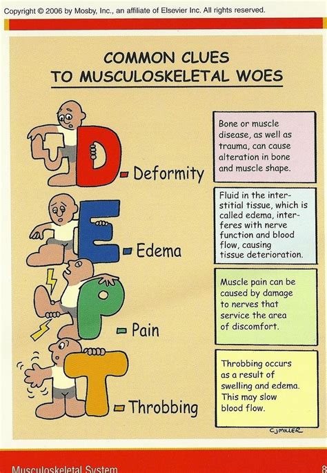 Musculoskeletal Woes Nursing Mnemonics Orthopedic Nursing