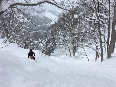 Nozawa Onsen Snow Report 15th February 2019 Nozawa Holidays