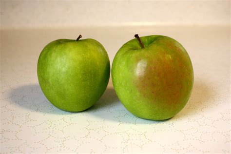 Granny Smith Apples Picture Free Photograph Photos Public Domain