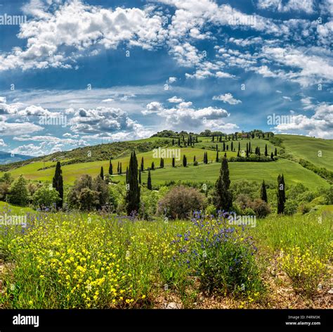 Italy Europe Toscana Tuscany Castelluccio Landscape Field Meadow