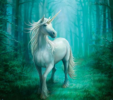 Unicorn - Fantasy Photo (41234264) - Fanpop