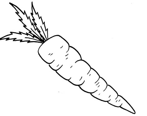 Carrot coloring page