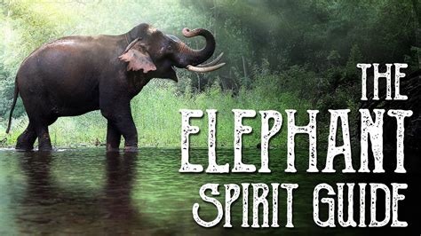 Elephant Spirit Guide Ask The Spirit Guides Oracle Totem Animal