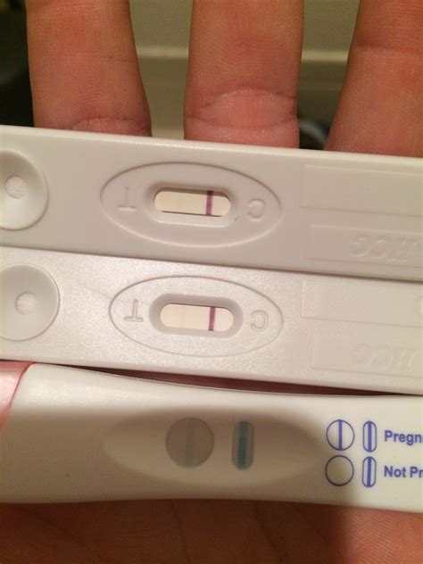 When Should I Take Pregnancy Test After Iui Pregnancywalls