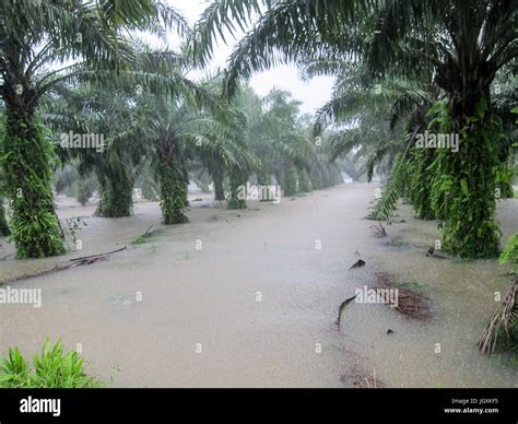 Tropical Monsoon Climate Hi Res Stock Photography And Images Alamy