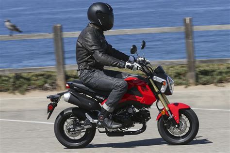 2014 Honda Grom Motorcycle Review