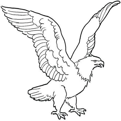 Want to color a majestic eagle? Eagles Football Coloring Pages at GetColorings.com | Free ...