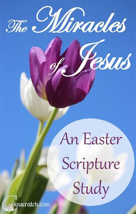 The Miracles Of Jesus An Easter Scripture Study Easter