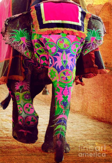 Decorated Elephant Of India Photograph By Jubi Baruah Pixels