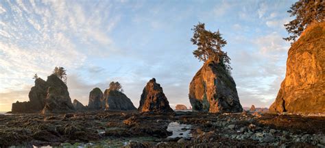 The beach is two miles of sand bracketed by huge sea stacks and rocky cliffs at either end. Shi Shi Beach Photo Tips and Road Trip - Fototripper