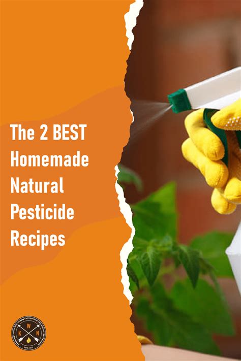 The 2 Best Homemade Natural Pesticide Recipes Natural Pesticides