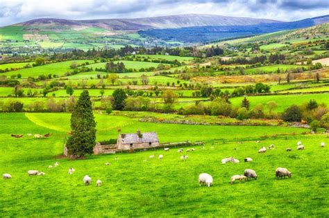 What Are The Best Places To Live In Ireland