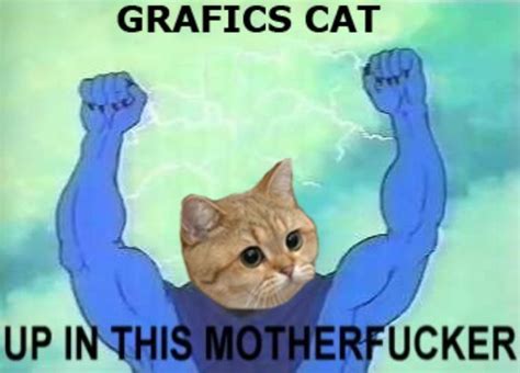[image 93144] starecat grafics cat know your meme