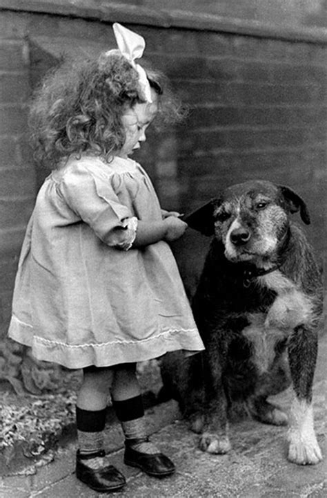 Vintage Dog Photography In Pictures Vintage Dog Dog Photography