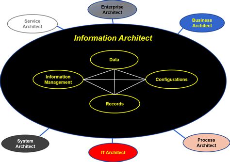 Information Architect Role Standard Business