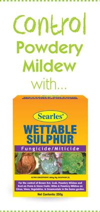 Bleeding iiiier chldblrth i black fungus, day lily, white fungus, lotus rhizome, radish, shepherd's purse, water. Control Powdery Mildew on plants and vegetables | Searles ...