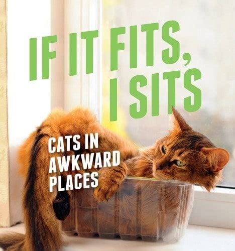 Review If It Fits I Sits Cats In Awkward Places The Conscious Cat
