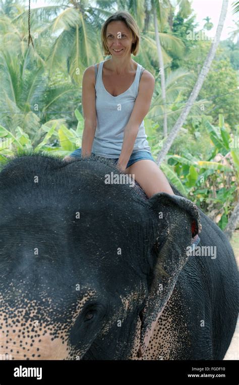 Woman Rides On An Elephant Through The Jungle Indian Elephant Asian