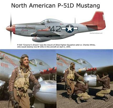 North American P 51d Mustang Creamers Dream 1945 Wwii Fighter