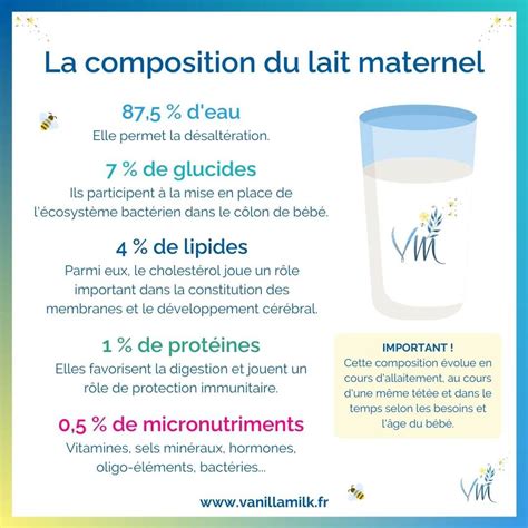 Nos Infographies De L Allaitement Maternel Vanillamilk