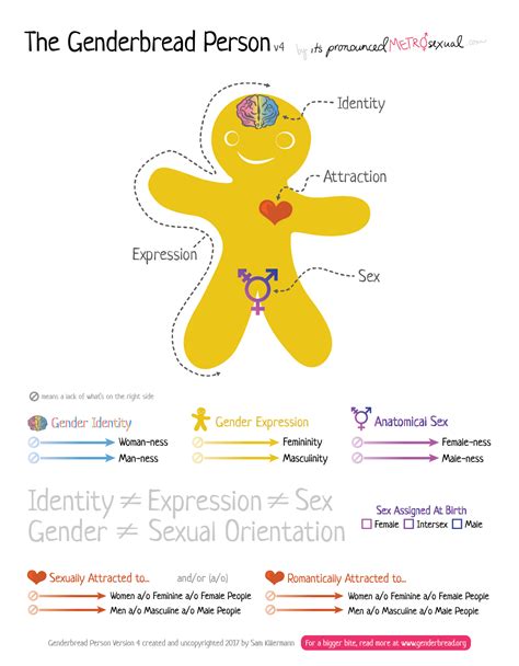 Making Sense Of It All Understanding Sexual And Gender Expression