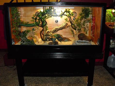 Gails Homemade Reptile Enclosure And Stand Reptile Room Reptile Cage