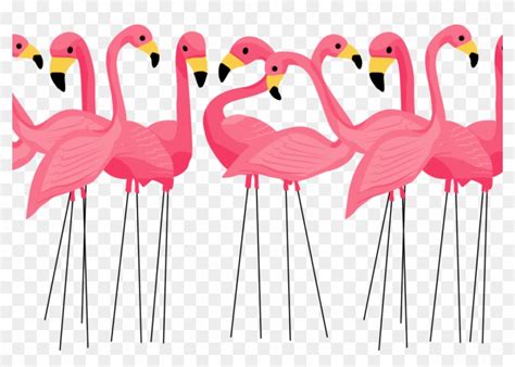 Free Clip Art Flamingos Hd Png Download 1170x7804831182 Pngfind