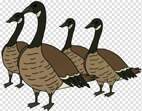 Duck Goose Regular Show Season 4 Grey Geese Cartoon Rigby