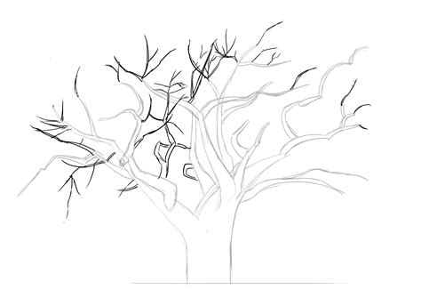 Comment Dessiner Un Arbre Comment Dessiner Un Arbre Dessin Arbre