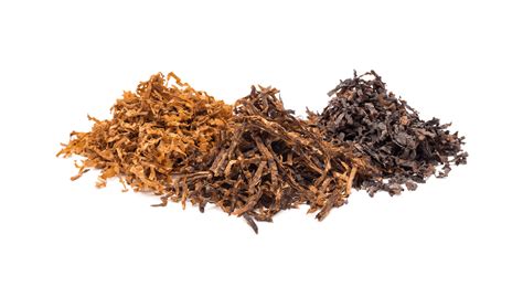 Tobacco Png Image Purepng Free Transparent Cc0 Png Image Library