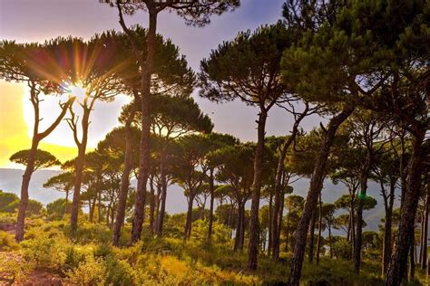 Check spelling or type a new query. Lebanon nature landscape beautifullebanon lebanon_hdr ...