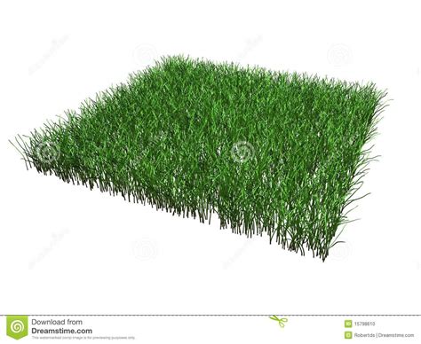 Piece Of Grass Isolated Stock Illustration Illustration Of Grass