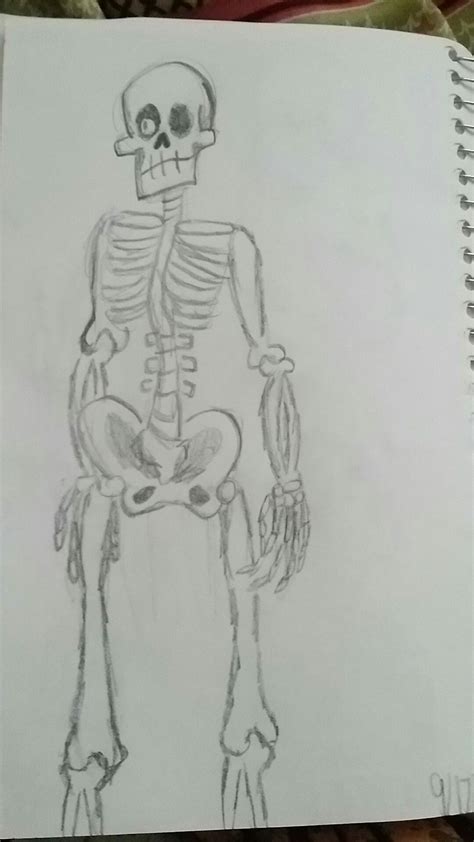 Stylized Skeleton Art Sketch Sketchbook Drawing Illustation