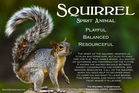 What Does The Squirrel Symbolize