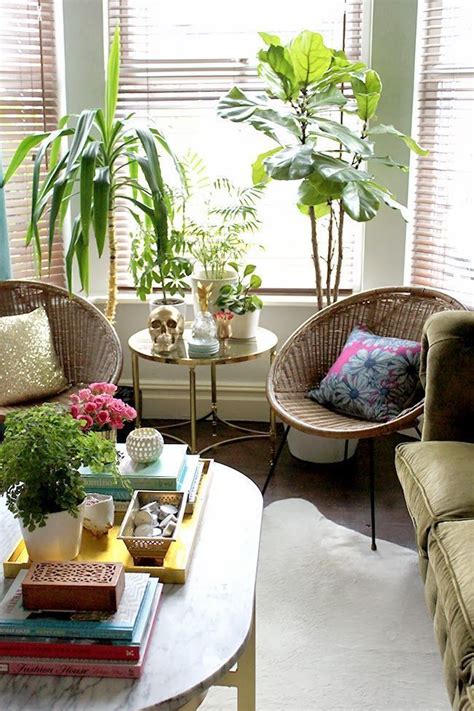 Bright but indirect light is best for this plant, which people often put in common spaces of their homes, like the living room. 32 Lovely House Plants In The Living Room Ideas | Living ...