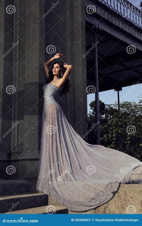 Beautiful Woman With Dark Hair Wears Luxurious Sequin Dress Stock Image Image Of Model