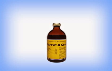 Tahukah kamu vitamin b complex untuk apa? INTROVIT-B-COMPLEX Injeksi Vitamin B Kompleks - OBAT HEWAN ...