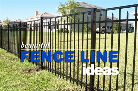 6 Stunning Privacy Fence Line Landscaping Ideas