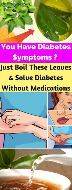 You Have Diabetes Symptoms Just Boil These Leaves And Solve Diabetes