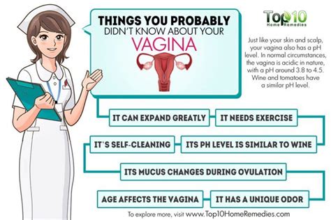 Choses Que Vous Ne Saviez Probablement Pas Sur Votre Vagin