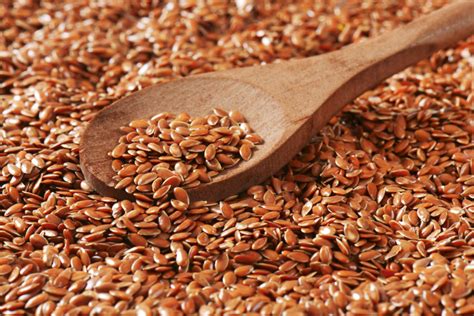 Reasons Why Flaxseeds Are Healing Powerhouses Breast Cancer Conqueror