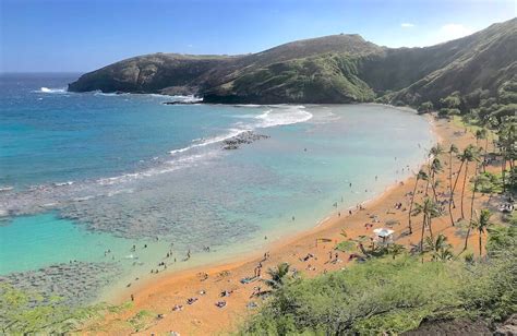 The Best North Shore And Hanauma Bay Tour The Hawaii Admirer