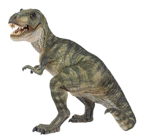 One of the largest known carnivorous dinosaurs, tyrannosaurus rex — t. T-Rex Dinosaurs History | Dinosaurs Pictures and Facts