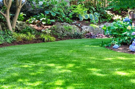 6 Tips And Tricks For Having The Greenest Lawn On The Block Icharts
