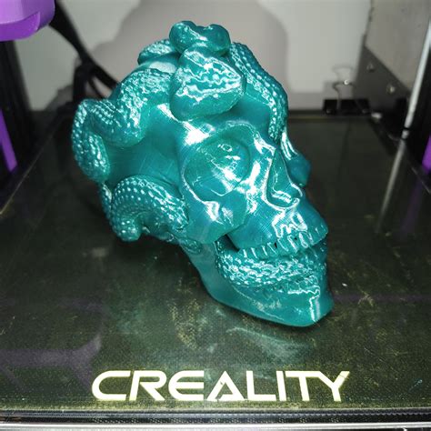 3d Printable Skull Snakes By Rony Leite