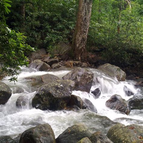 Vazhvanthol Waterfalls Thiruvananthapuram Trivandrum Tutto Quello