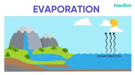 Examples Of Evaporation For Kids