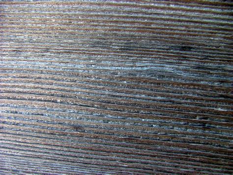 Free Photo Wood Grain Grain Texture Timber Free Download Jooinn