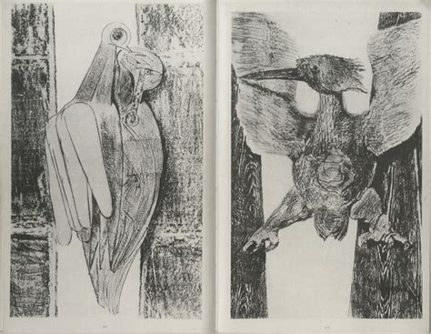 D Natural History Book By Max Ernst
