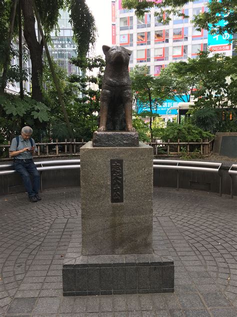 Hachiko Statue In Front Of Shibuya Station Hachiko Statue Dumb And